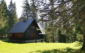 Chalet Stara Jelka Pokljuka